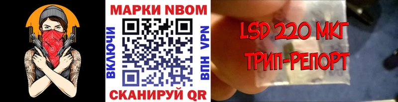 Марки NBOMe 1,5мг  гидра как зайти  Чкаловск  хочу наркоту 