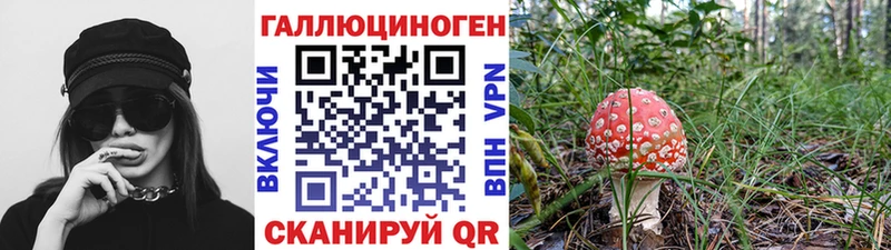 Галлюциногенные грибы Magic Shrooms  Чкаловск 